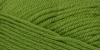 Premier Worsted Yarn 82 Green Apple