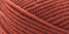Premier Worsted Yarn 74 Clay